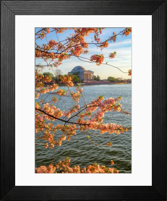 Framed Print : Washington, D.C. Jefferson Memorial During Springtime