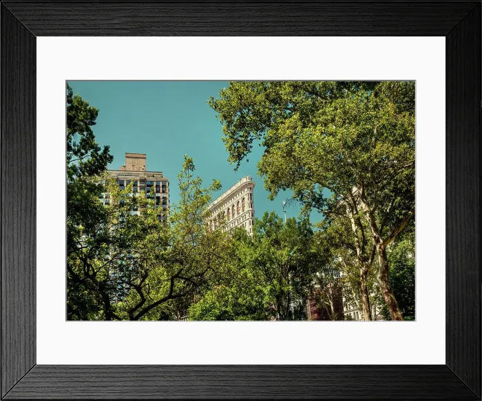 Framed Print : New York City, Flatiron Building from Madison Park Framed Print : New York City, Flatiron Building from Madison Park