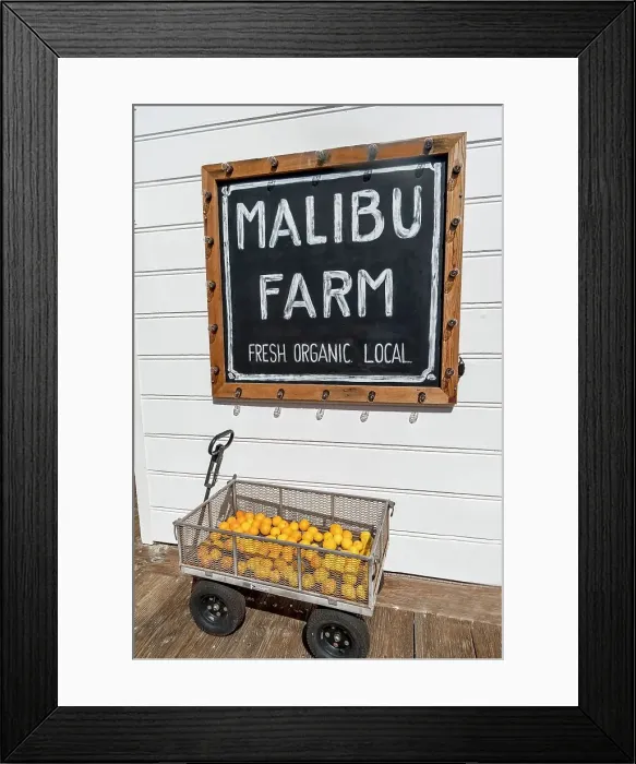 Framed Print : California, Los Angeles County, Malibu, Malibu Farm Framed Print : California, Los Angeles County, Malibu, Malibu Farm