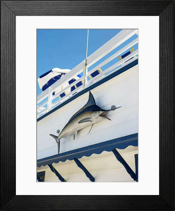 Framed Print : California, Los Angeles County, Malibu, swordfish