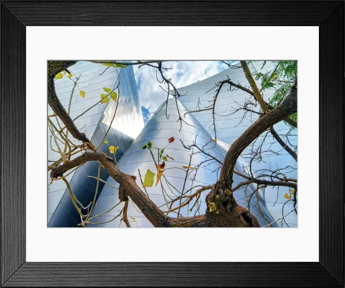 Framed Print : California, Los Angeles, Walt Disney Concert Hall Framed Print : California, Los Angeles, Walt Disney Concert Hall