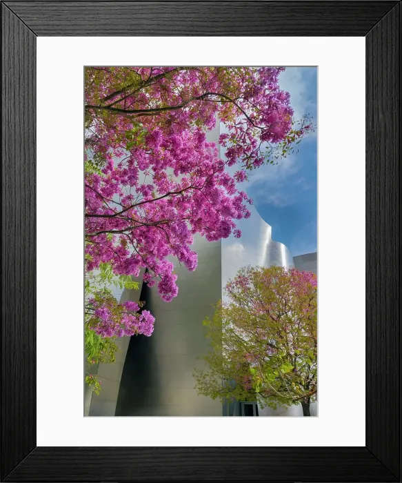 Framed Print : California, Los Angeles, Walt Disney Concert Hall