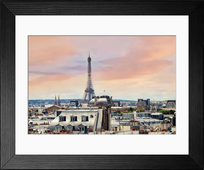 Framed Print : France, Paris, cityscape with Eiffel Tower