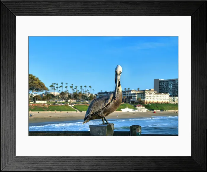 Framed Print : California, Los Angeles County, Fisherman's Wharf, Redondo Beach, Pier Framed Print : California, Los Angeles County, Fisherman's Wharf, Redondo Beach, Pier