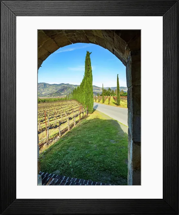 Framed Print : California, Calistoga, Napa Valley, Castello di Amarosa Winery Framed Print : California, Calistoga, Napa Valley, Castello di Amarosa Winery
