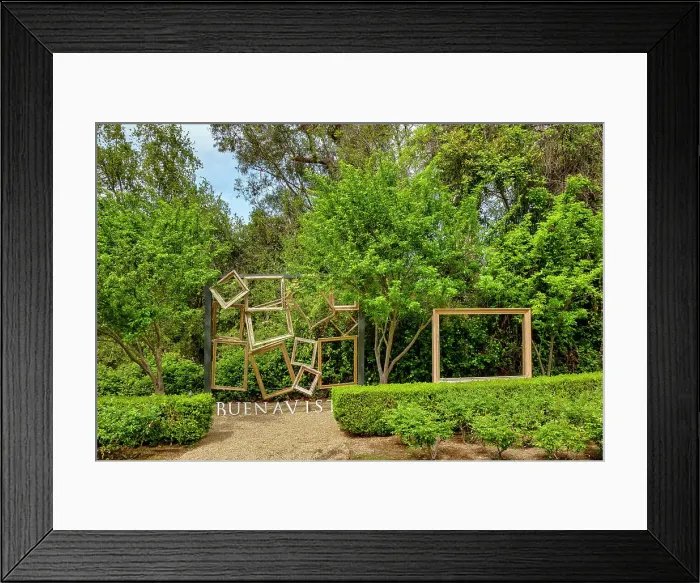 Framed Print : California, Sonoma, Buena Vista Winery Framed Print : California, Sonoma, Buena Vista Winery