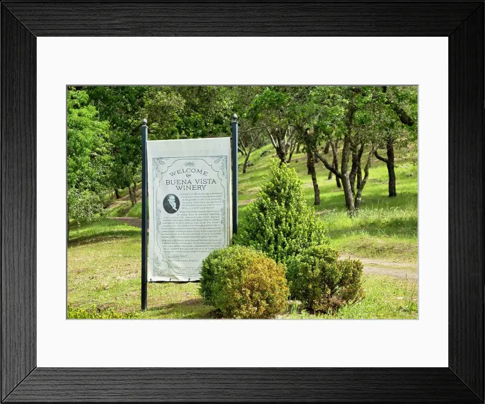 Framed Print : California, Sonoma, Buena Vista Winery, Welcome sign