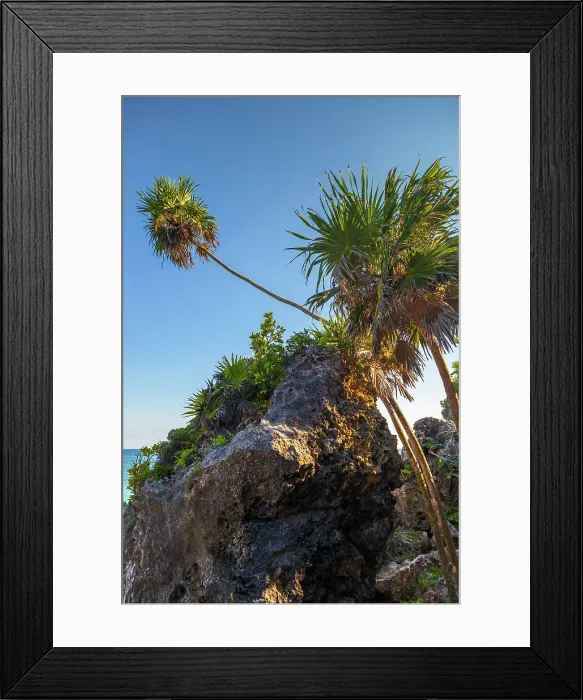 Framed Print : Mexico, Quintana Roo, Tulum, Rocky cliff and vegetation at Mayan ruins Framed Print : Mexico, Quintana Roo, Tulum, Rocky cliff and vegetation at Mayan ruins