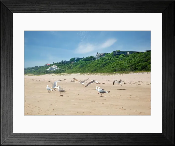 Framed Print : New York, Long Island, Montauk, beach, seagulls Framed Print : New York, Long Island, Montauk, beach, seagulls
