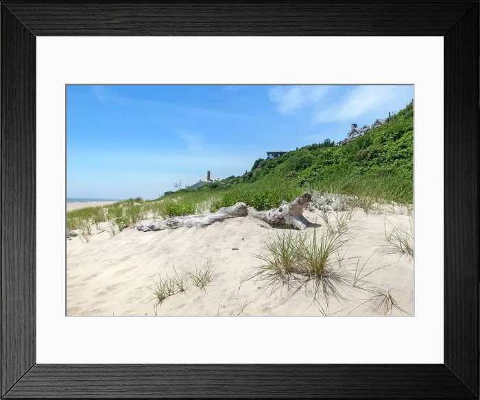 Framed Print : New York, Long Island, Montauk, beach, dry bark, drift wood Framed Print : New York, Long Island, Montauk, beach, dry bark, drift wood
