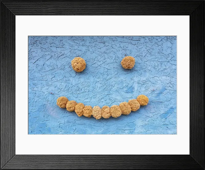 Framed Print : Florida, Tampa, Tarpon Springs, smile made of sponges, Sponge Capital of the World