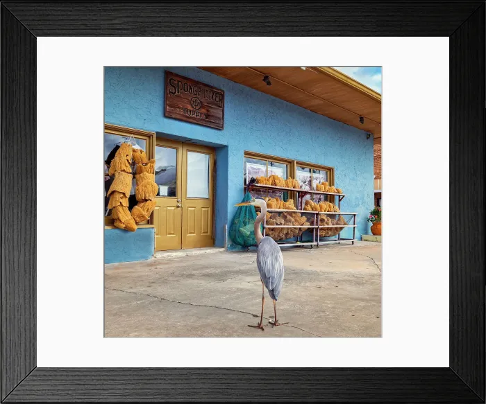Framed Print : Florida, Tampa, Tarpon Springs, Sponge Capital of the World, Sponge Diver Supply, Store Framed Print : Florida, Tampa, Tarpon Springs, Sponge Capital of the World, Sponge Diver Supply, Store