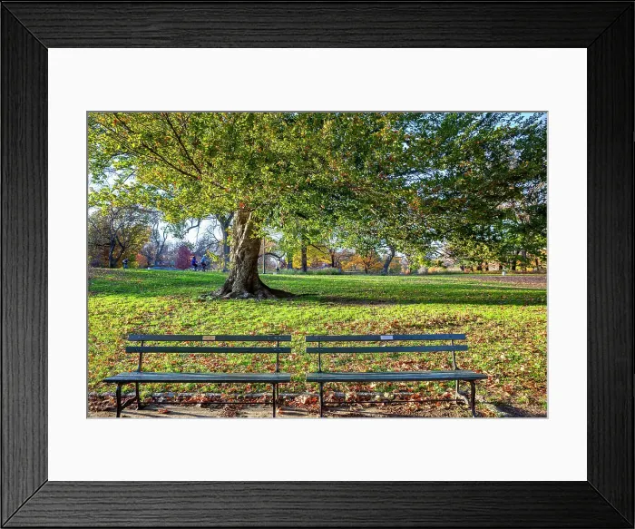 Framed Print : NYC, Central Park, benches at park