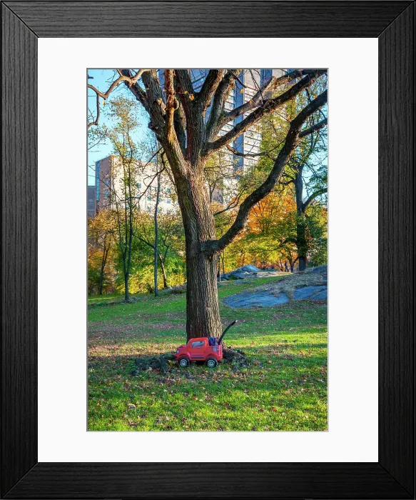 Framed Print : NYC, Central Park, toy car by tree