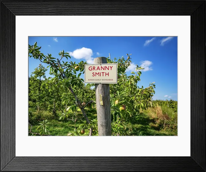 Framed Print : New York, Hopewell Junction, Fishkill Farms