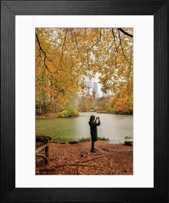 Framed Print : NY, NYC, Central Park, view of colorful foliage and Pond Framed Print : NY, NYC, Central Park, view of colorful foliage and Pond