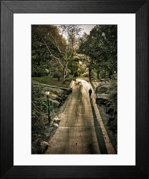 Framed Print : NY, NYC, Central Park Framed Print : NY, NYC, Central Park