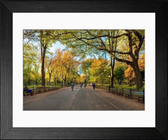 Framed Print : NY, NYC, Central Park, Central Park Mall, The Mall Framed Print : NY, NYC, Central Park, Central Park Mall, The Mall