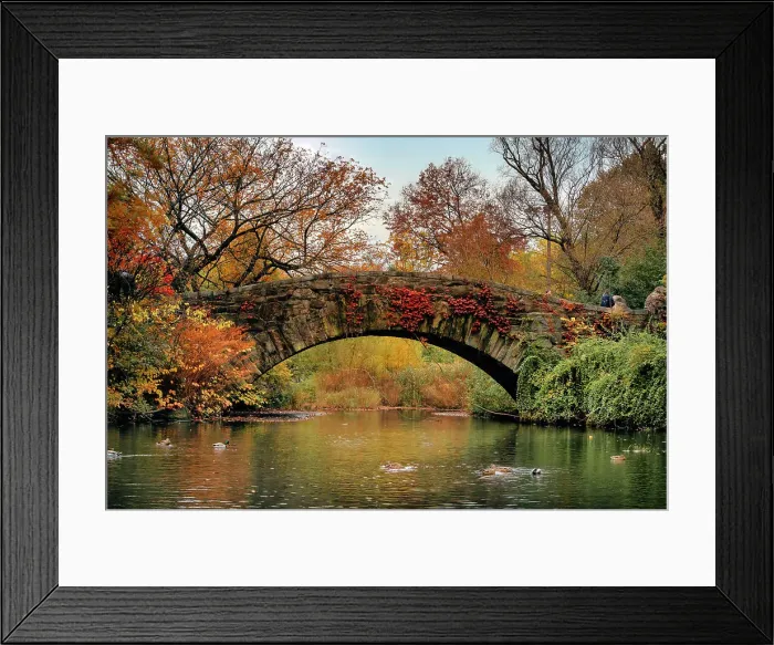 Framed Print : NY, NYC, Central Park, Gapstow Bridge, and Pond Framed Print : NY, NYC, Central Park, Gapstow Bridge, and Pond