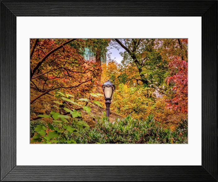 Framed Print : NY, NYC, Central Park, Lamppost surrounded by colorful foliage Framed Print : NY, NYC, Central Park, Lamppost surrounded by colorful foliage