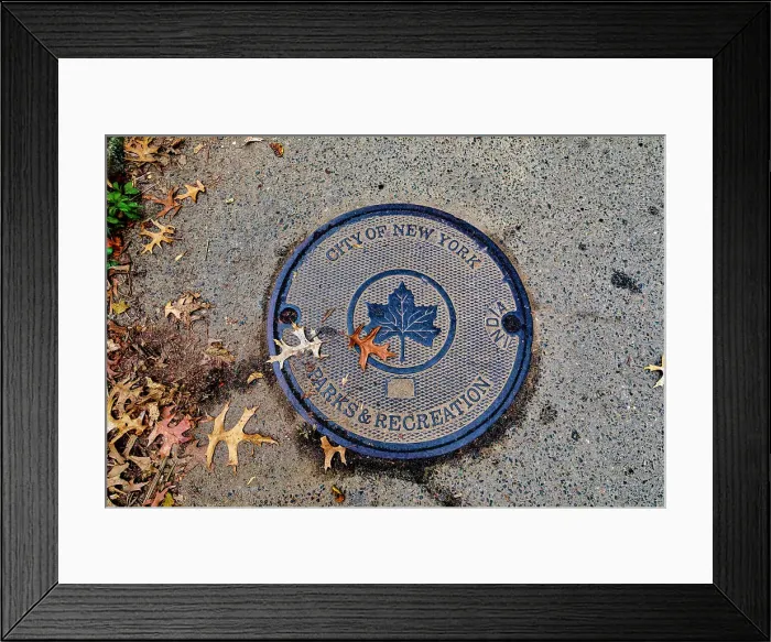 Framed Print : NY, NYC, Central Park, City of NY Parks and Recreation Framed Print : NY, NYC, Central Park, City of NY Parks and Recreation