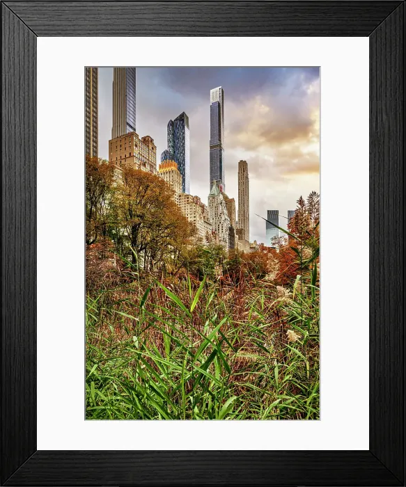Framed Print : NY, NYC, Central Park, Midtown skyline Framed Print : NY, NYC, Central Park, Midtown skyline