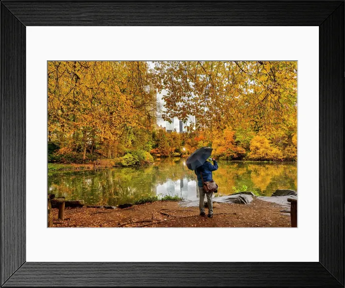 Framed Print : NY, NYC, Central Park, view of colorful foliage and Pond Framed Print : NY, NYC, Central Park, view of colorful foliage and Pond