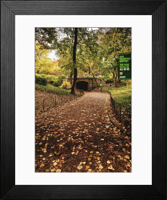 Framed Print : NY, NYC, Central Park, Path leading to Dipway Arch Framed Print : NY, NYC, Central Park, Path leading to Dipway Arch