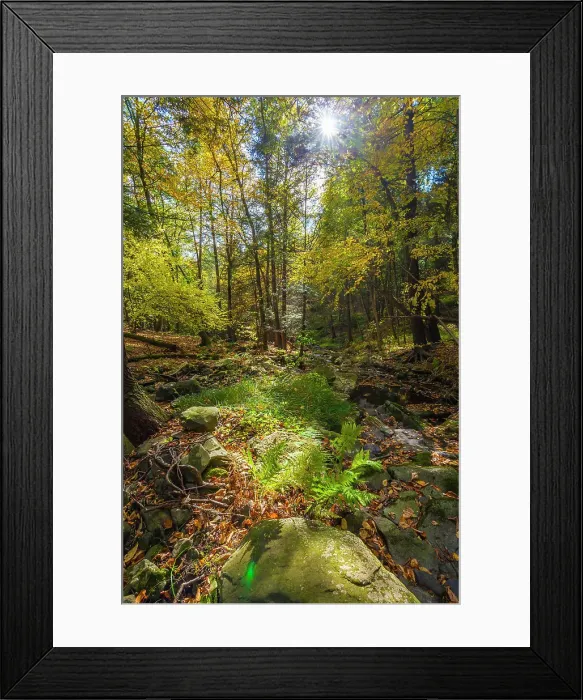 Framed Print : New York, autumn colors and small stream, Sparrow Bush