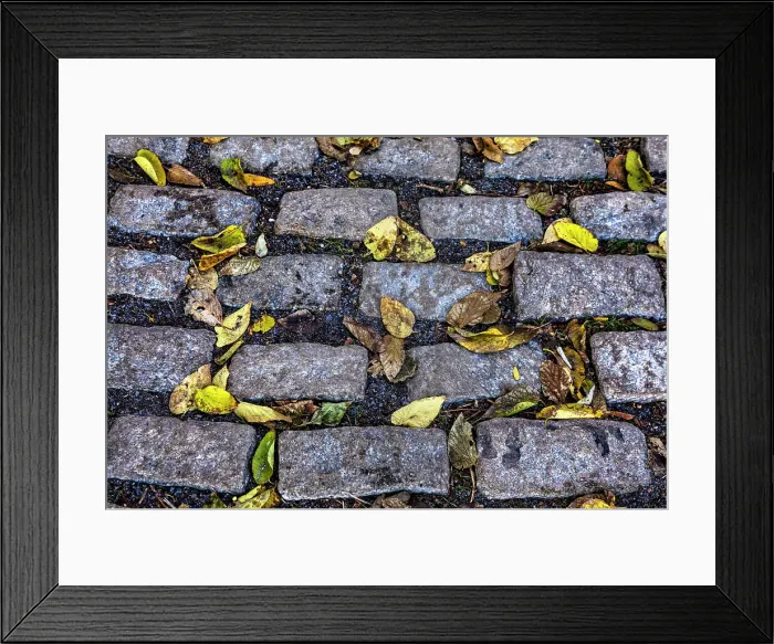 Framed Print : NY, NYC, Cobblestone street with autumn leaves Framed Print : NY, NYC, Cobblestone street with autumn leaves