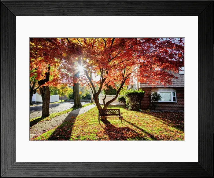 Framed Print : NY, NYC, Queens, fall scene Framed Print : NY, NYC, Queens, fall scene
