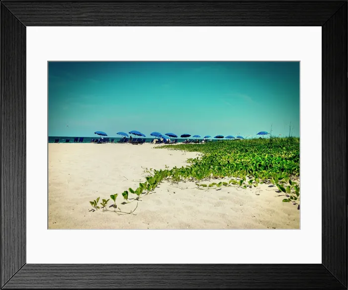 Framed Print : Florida, Clearwater, Indian Rocks Beach, horizon with umbrellas