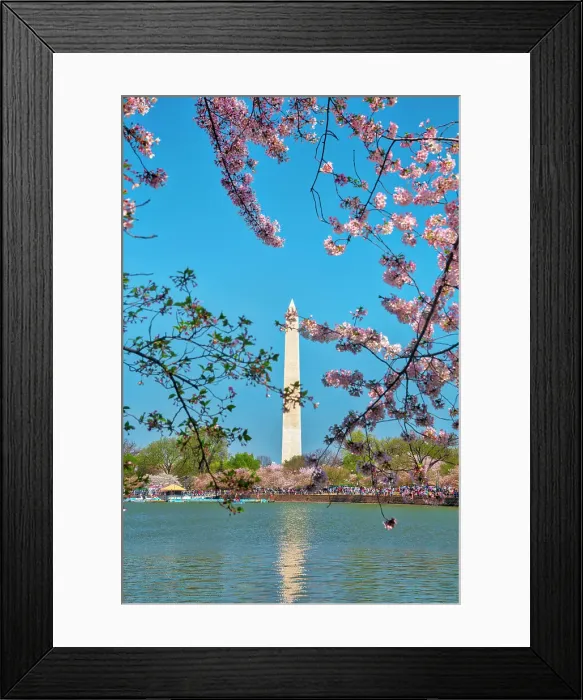 Framed Print : Washington, D.C. Washington Monument During Springtime