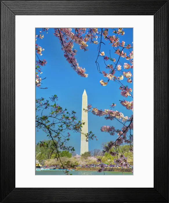 Framed Print : Washington, D.C. Washington Monument During Springtime