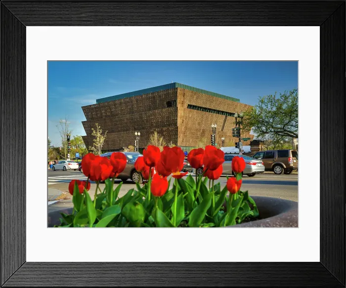 Framed Print : Washington, D.C. National Museum of African American History and Culture Framed Print : Washington, D.C. National Museum of African American History and Culture