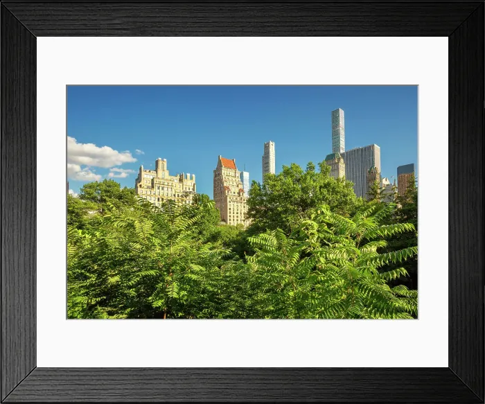 Framed Print : New York City, Central Park view from Hallett Nature Sanctuary Framed Print : New York City, Central Park view from Hallett Nature Sanctuary