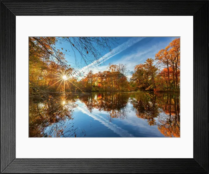 Framed Print : New York, Bayville, Autumn Scene at Bailey Arboretum Framed Print : New York, Bayville, Autumn Scene at Bailey Arboretum