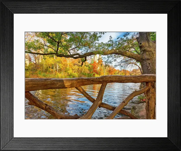 Framed Print : NYC, Manhattan, Central Park, Wagner Cove During Autumn