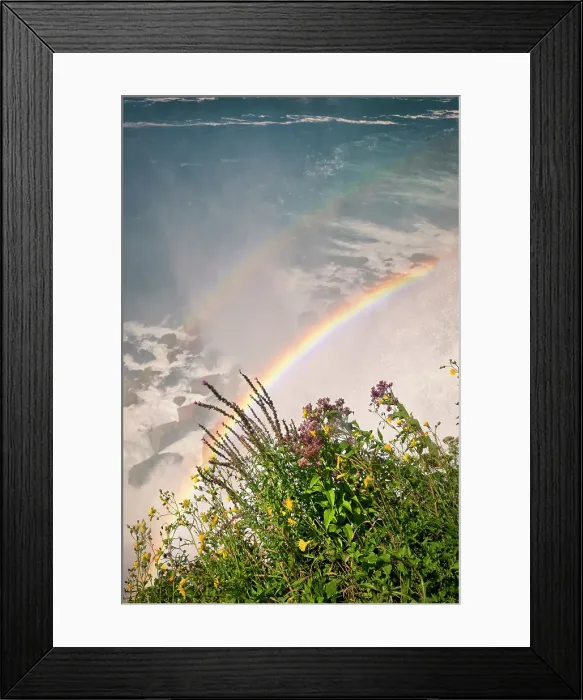 Framed Print : New York, Niagara Falls, flora and rainbow