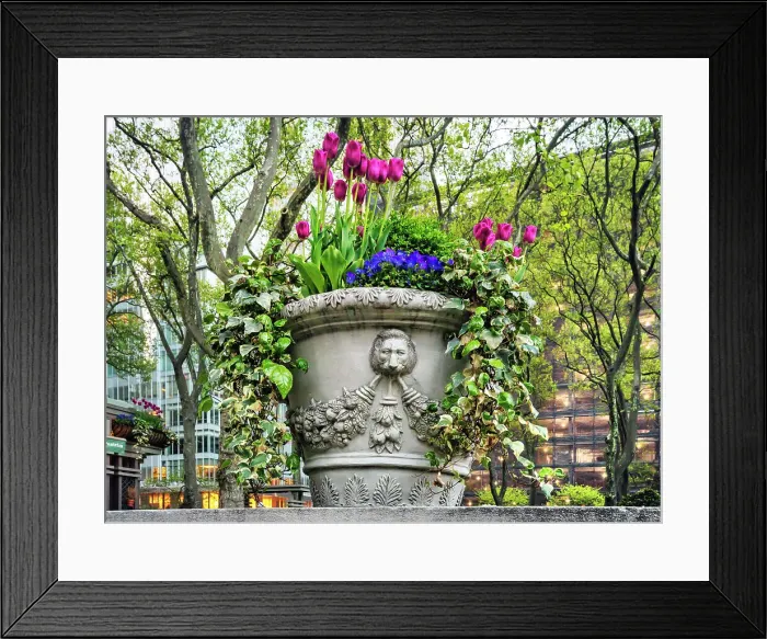 Framed Print : New York City, Manhattan, Bryant Park, flower planter Framed Print : New York City, Manhattan, Bryant Park, flower planter
