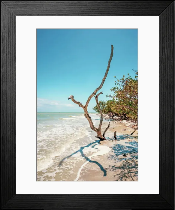 Framed Print : Southwest Florida, Gulf of Mexico, Sanibel, beach scene Framed Print : Southwest Florida, Gulf of Mexico, Sanibel, beach scene
