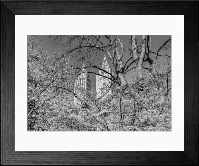 Framed Print : New York City, Manhattan, Central Park Scene with San Remo Towers Framed Print : New York City, Manhattan, Central Park Scene with San Remo Towers