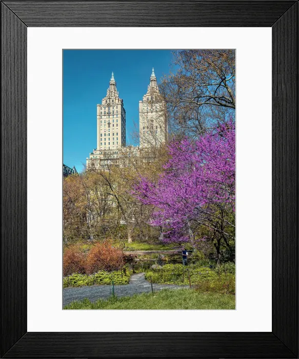 Framed Print : New York City, Manhattan, Central Park Scene with San Remo Towers Framed Print : New York City, Manhattan, Central Park Scene with San Remo Towers