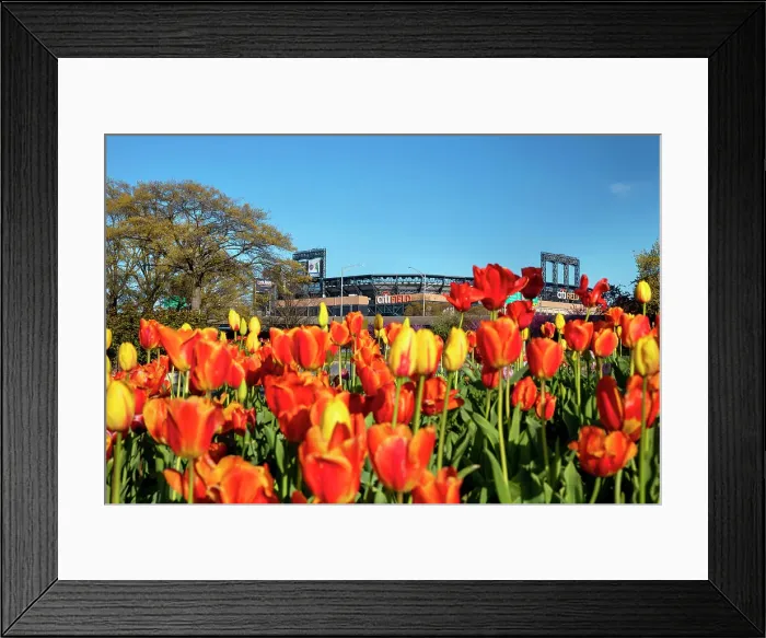 Framed Print : New York City, Citifield Stadium in Queens Framed Print : New York City, Citifield Stadium in Queens