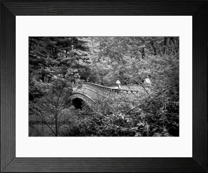 Framed Print : New York City, Manhattan, Pine Bank Bridge Framed Print : New York City, Manhattan, Pine Bank Bridge