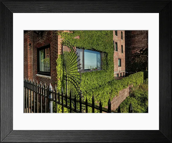 Framed Print : NYC, Brooklyn, Brooklyn Heights, building covered by green plants