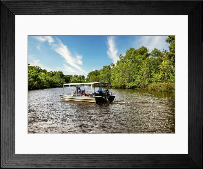 Framed Print : Louisiana, Louisiana's Swamp, Tour boat Framed Print : Louisiana, Louisiana's Swamp, Tour boat