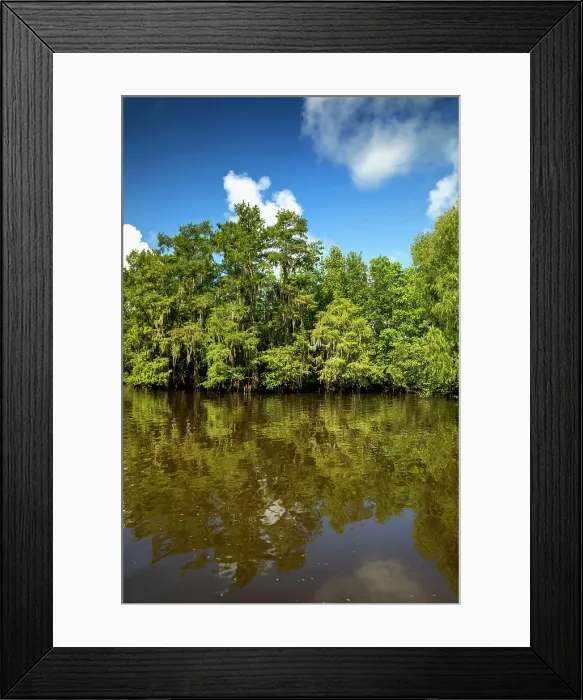 Framed Print : Louisiana, Louisiana's Swamp landscape Framed Print : Louisiana, Louisiana's Swamp landscape