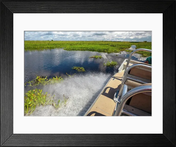Framed Print : Louisiana, Louisiana's Swamp, Airboat cruising the wetland fields Framed Print : Louisiana, Louisiana's Swamp, Airboat cruising the wetland fields