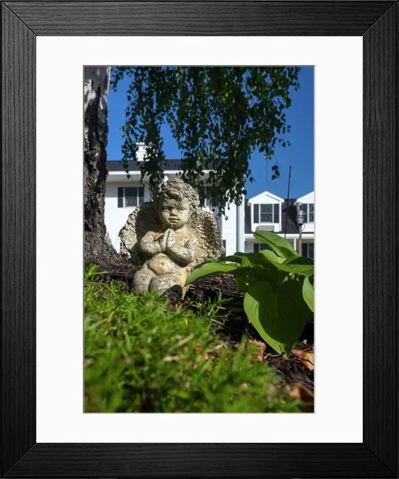 Framed Print : Maine, Lincolnville, Garden detail Framed Print : Maine, Lincolnville, Garden detail